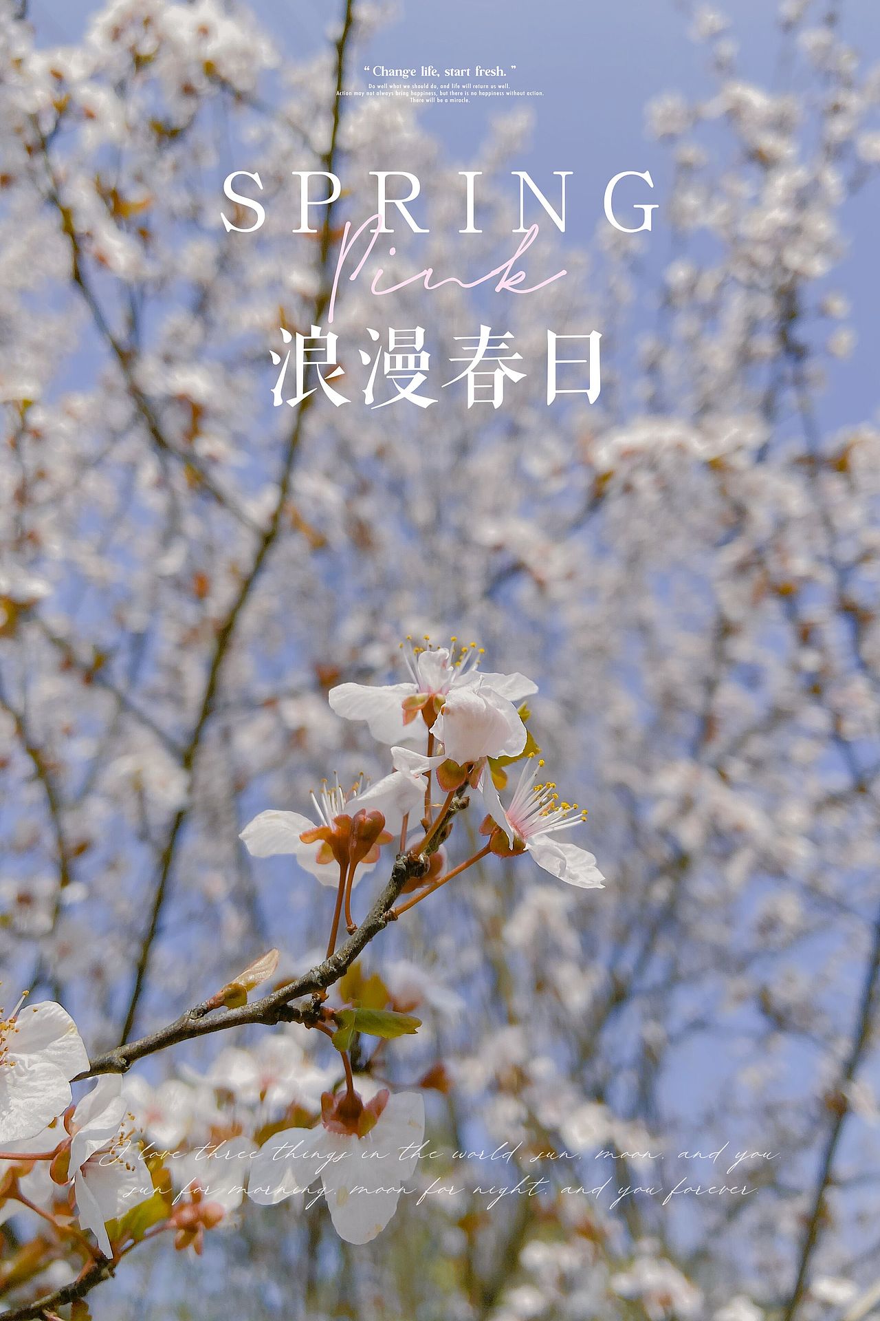 知昼暖·随拍随想（图ZMjQ5MjM5MjUy） - 风光摄影 - 站酷设计师南山请问原创素材 - 站酷ZCOOL