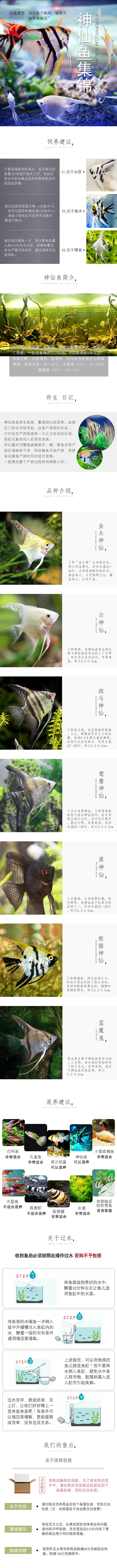 神仙鱼活体鱼淘宝产品详情页设计（图ZOTI5MTY5NDQ=） - 电商 - 站酷设计师Yune陳原创素材 - 站酷ZCOOL