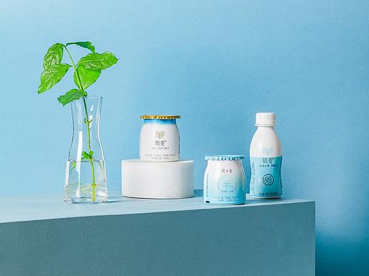 简爱酸奶-美食产品摄影