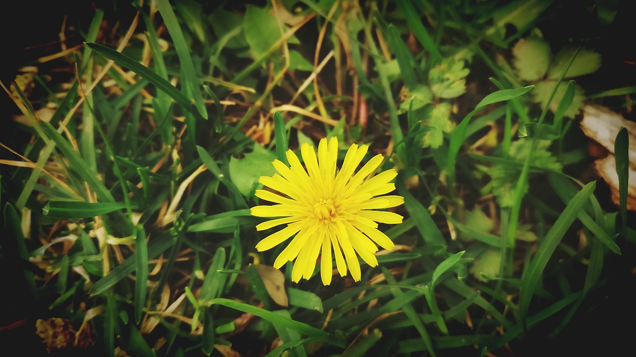 2017年清明颐和园