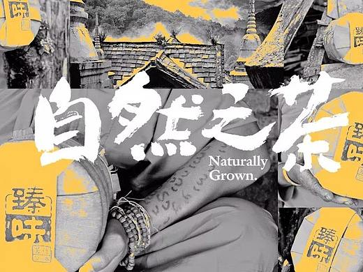 Munjr设计分享 | 西双版纳臻味号