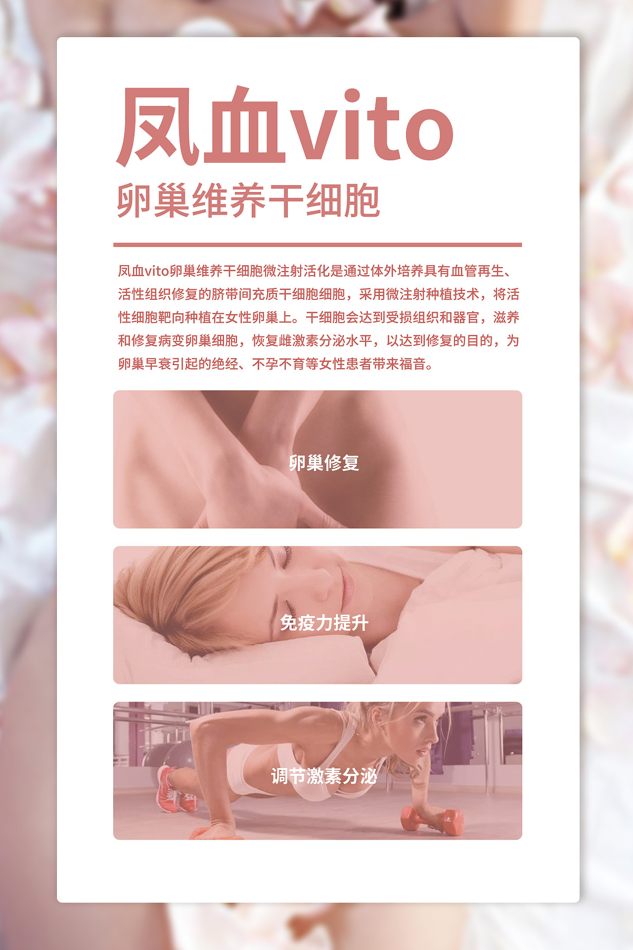 公司展板海报（图ZMTgzMjM3ODIw） - 海报 - 站酷设计师赵三啊赵三原创素材 - 站酷ZCOOL