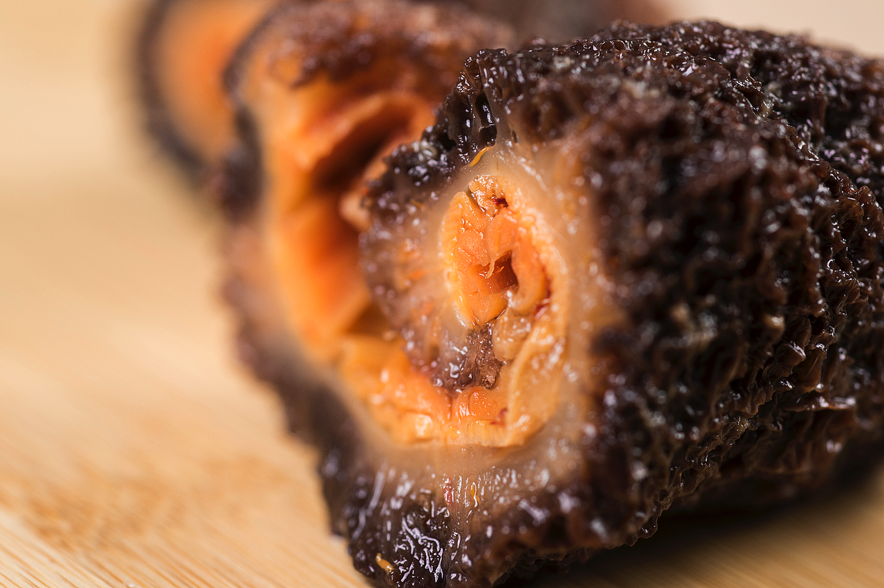 德远广告出品-海参摄影