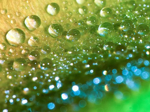 绽影像之《阿芙洛狄忒之泪》