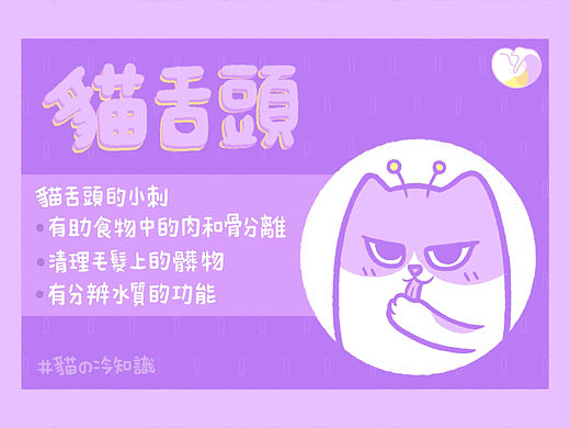 貓の冷知識（个人主页-ZNjM5NDg0Njg=） - IP形象 - 站酷设计师皮皮0w0原创素材 - 站酷ZCOOL