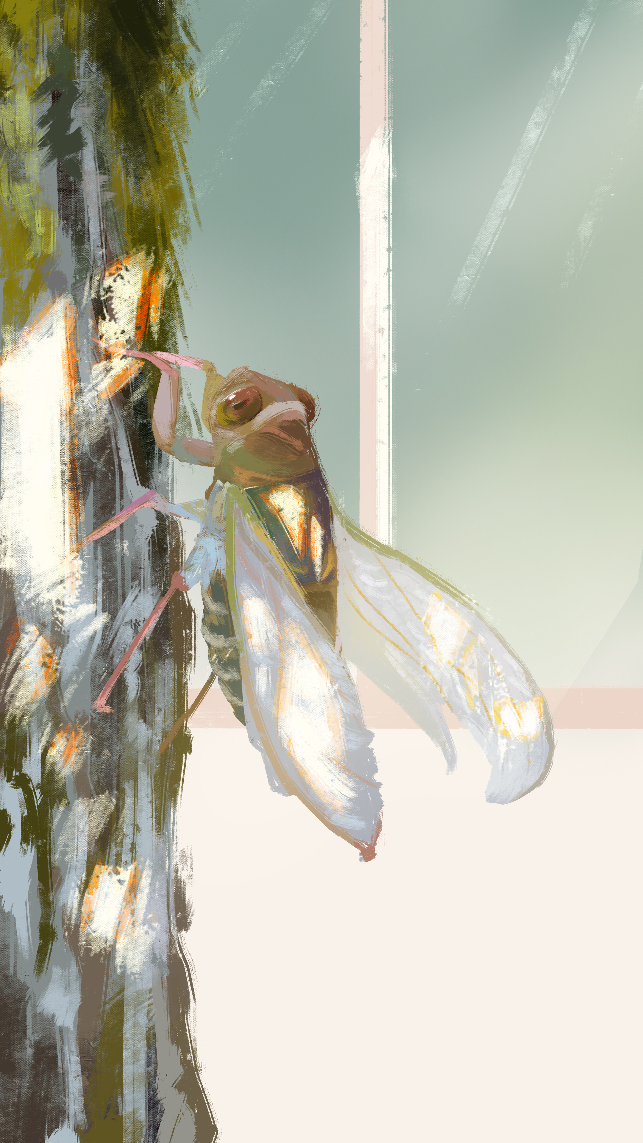 夏蝉|插画|插画习作|方小葵 - 原创作品 - 站酷 (zcool)