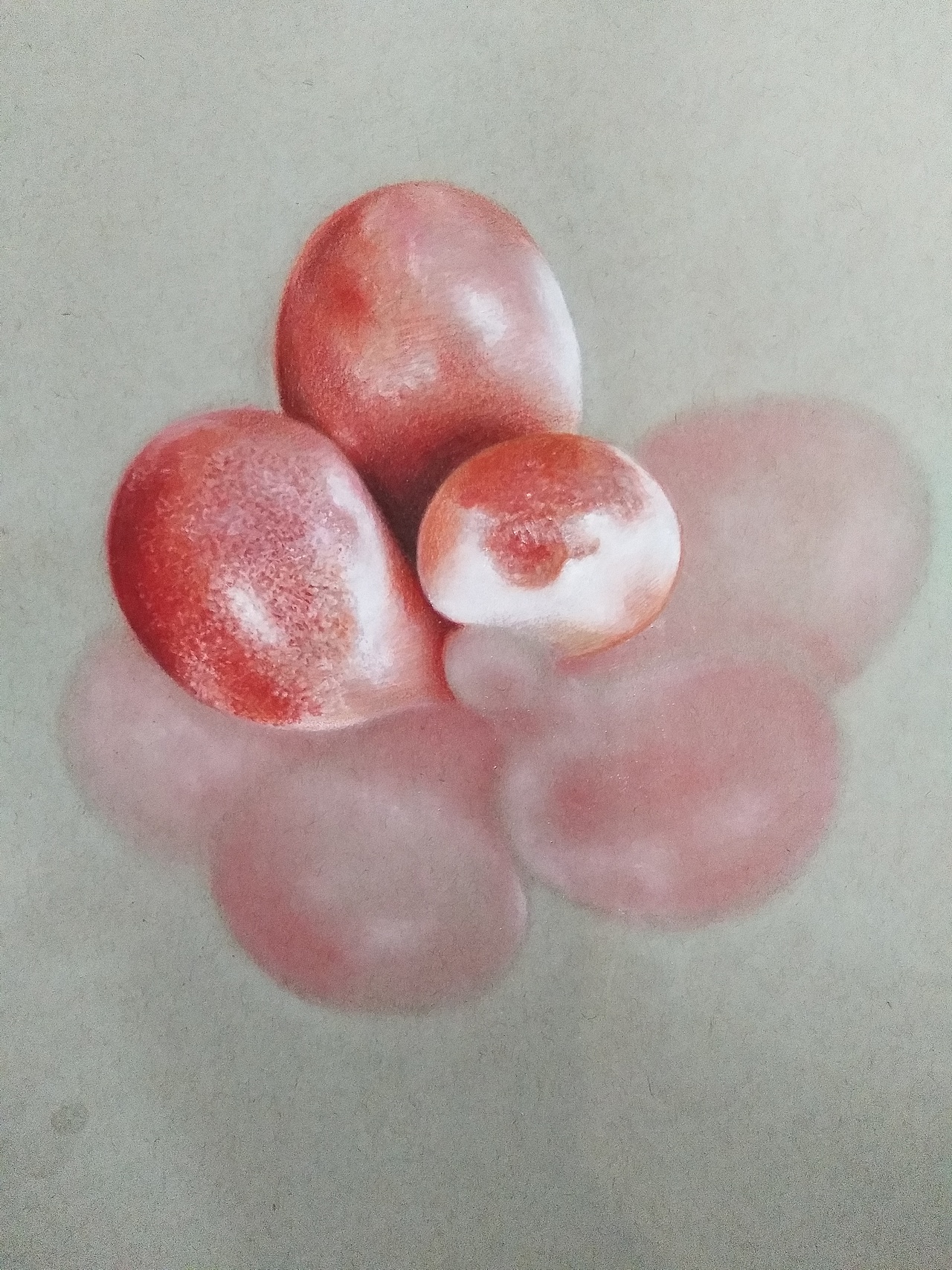 李胜仁 作品（多肉）（图ZMTYzMzAzNzcy） - 绘画 - 站酷设计师李胜仁原创素材 - 站酷ZCOOL