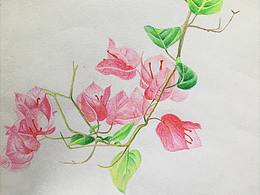 一月:第二周:树叶