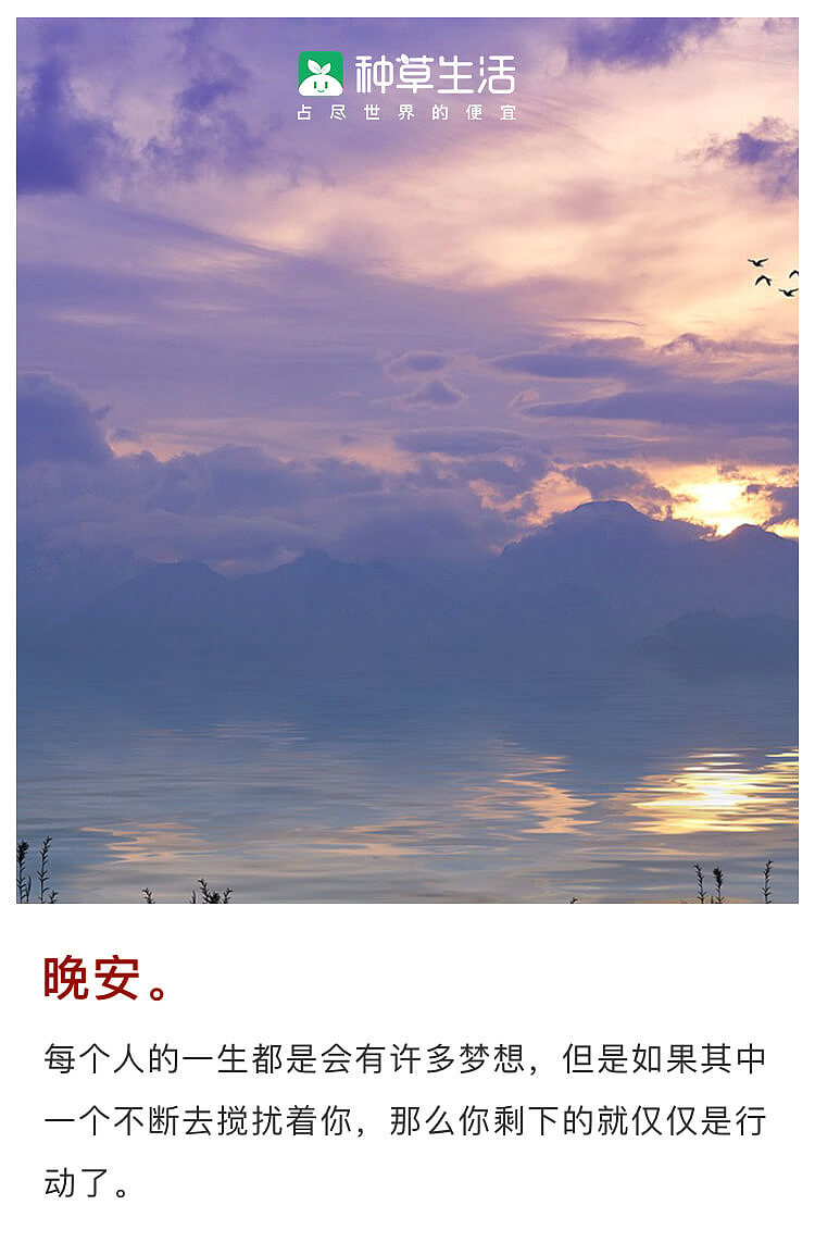 种草生活:再是阴雨天,也阻挡不了享受生活