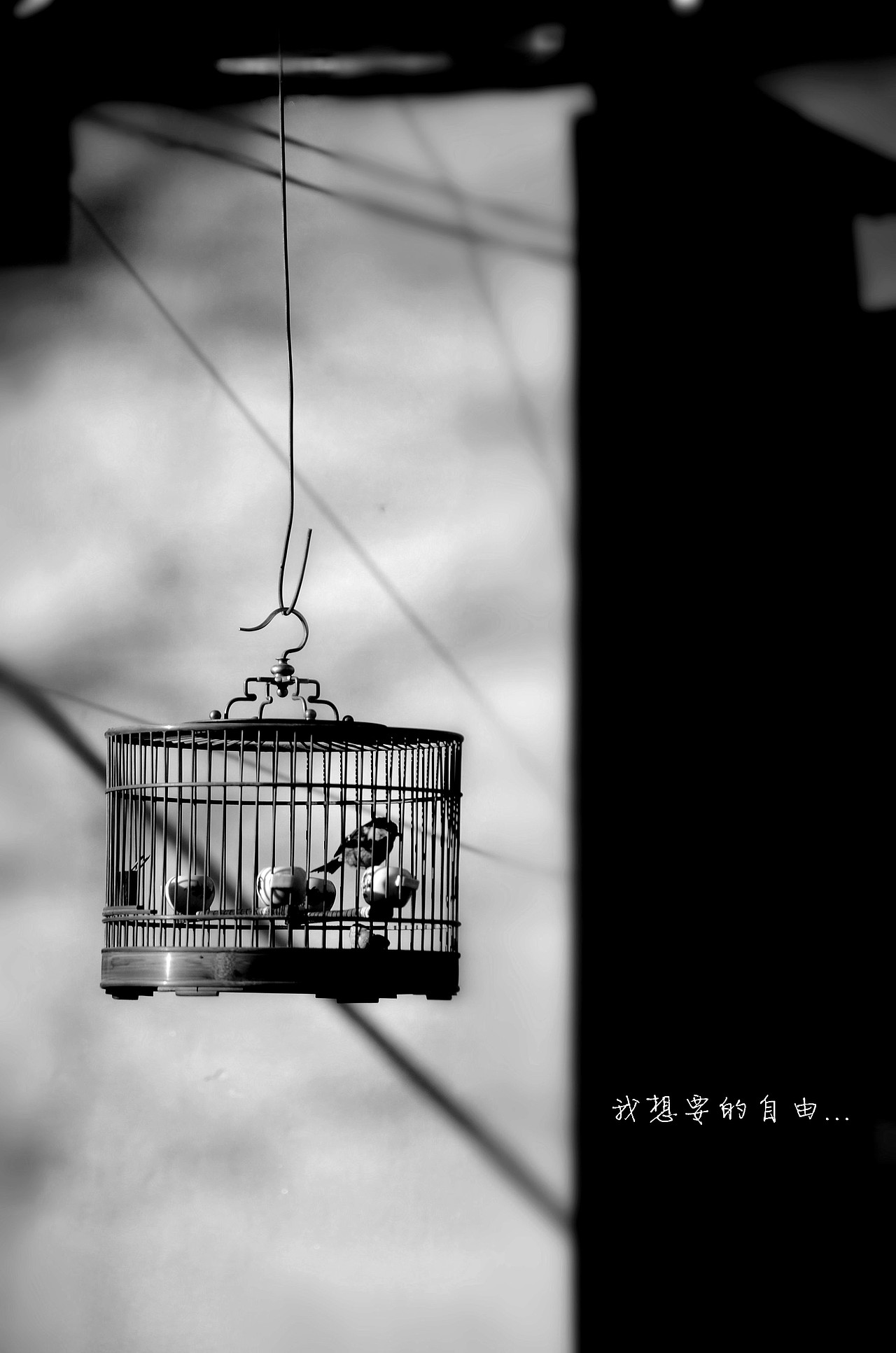 风景摄影（图ZMTQzOTQ1NjQ0） - 风光摄影 - 站酷设计师MichelTao原创素材 - 站酷ZCOOL