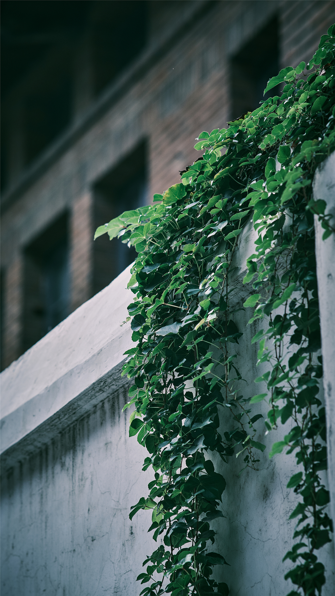 午后の烟台山~~~~