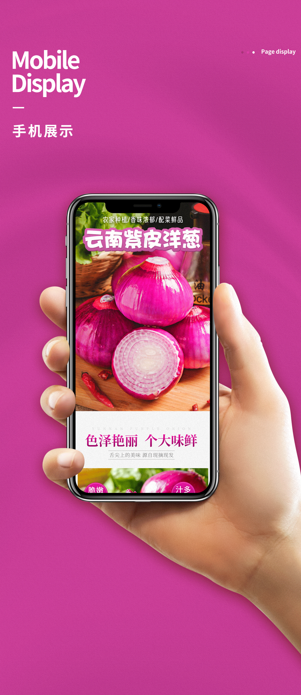 洋葱详情页策划设计（图ZMjExODQyMDY4） - 电商 - 站酷设计师熊佳621原创素材 - 站酷ZCOOL