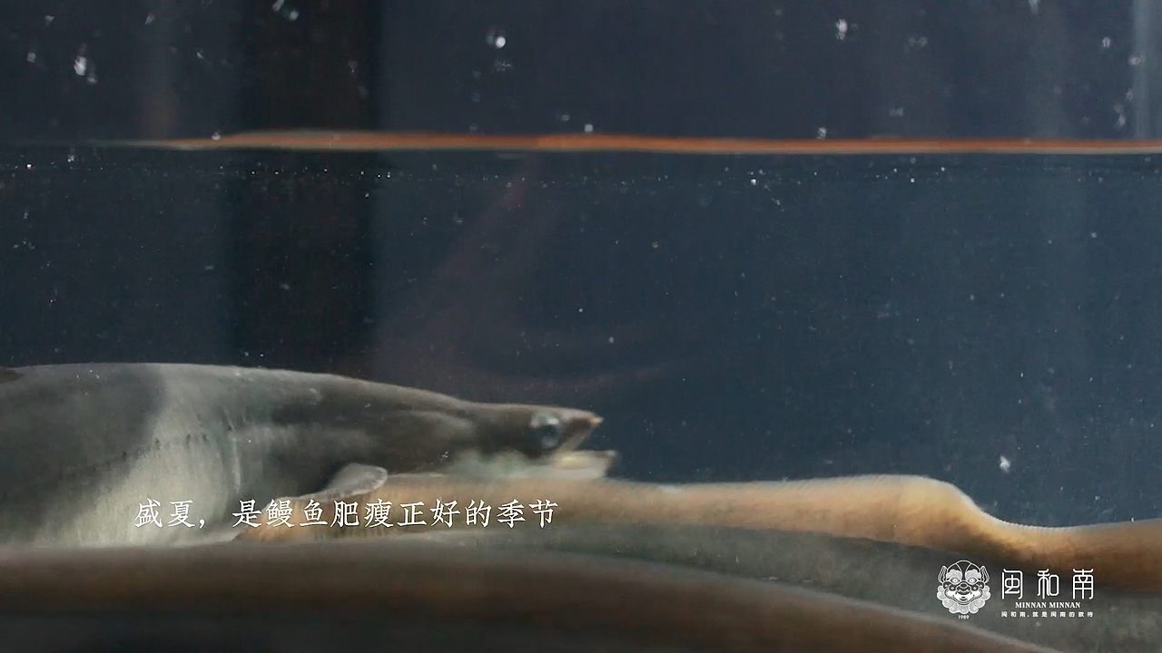 闽南菜 | 闽和南 X 饼干同学（图ZMjE5NDY3NTI4） - 其他摄影 - 站酷设计师饼干同学原创素材 - 站酷ZCOOL