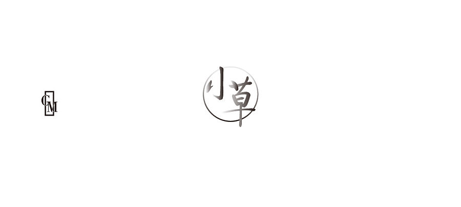 2014作品集（图ZMjM0NDU1MjQ=） - 字体/字形 - 站酷设计师大蒜苗原创素材 - 站酷ZCOOL