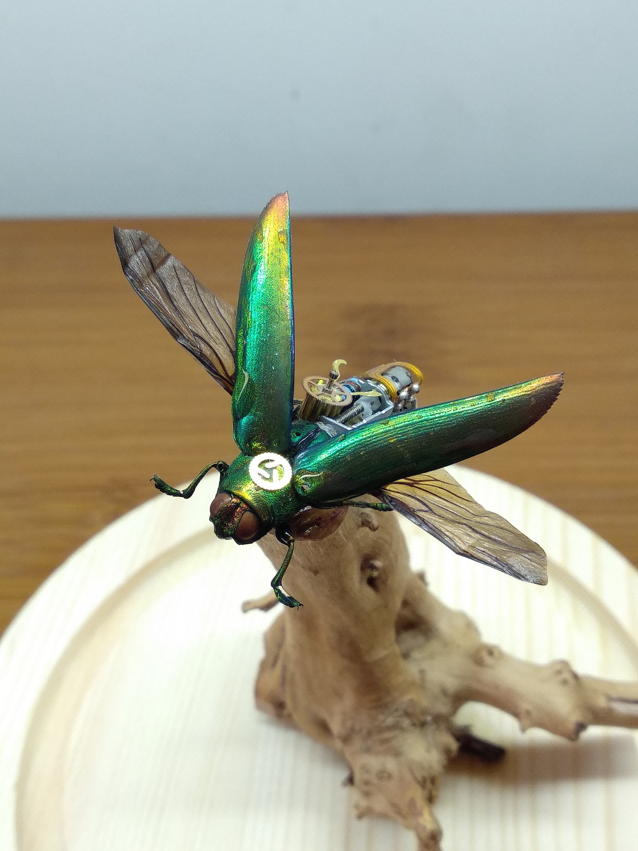 蒸汽朋克机械甲虫标本--【空中宝石系列】之异彩精灵