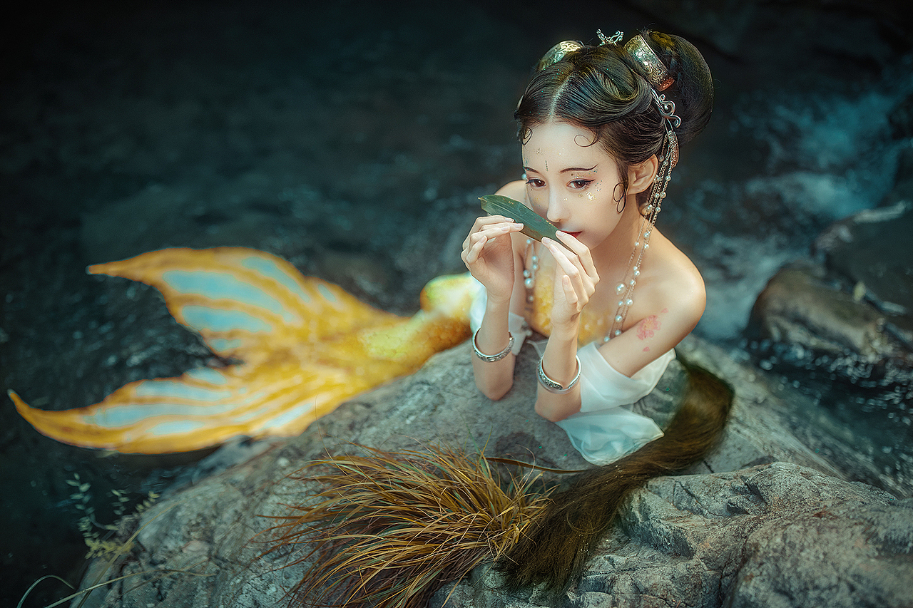 【灵仙圖志·锦鲤】