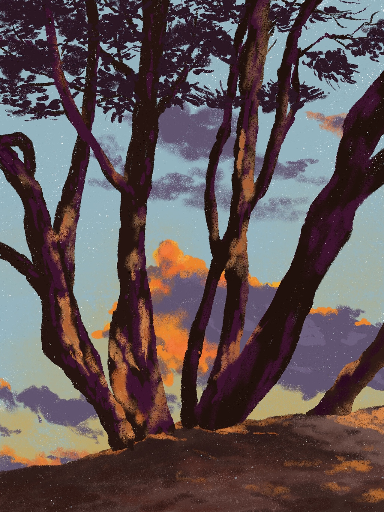 那些自由生长的树