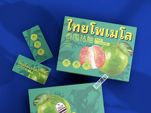 ｛原创｝柚子水果食品零食礼盒手绘插画包装设计