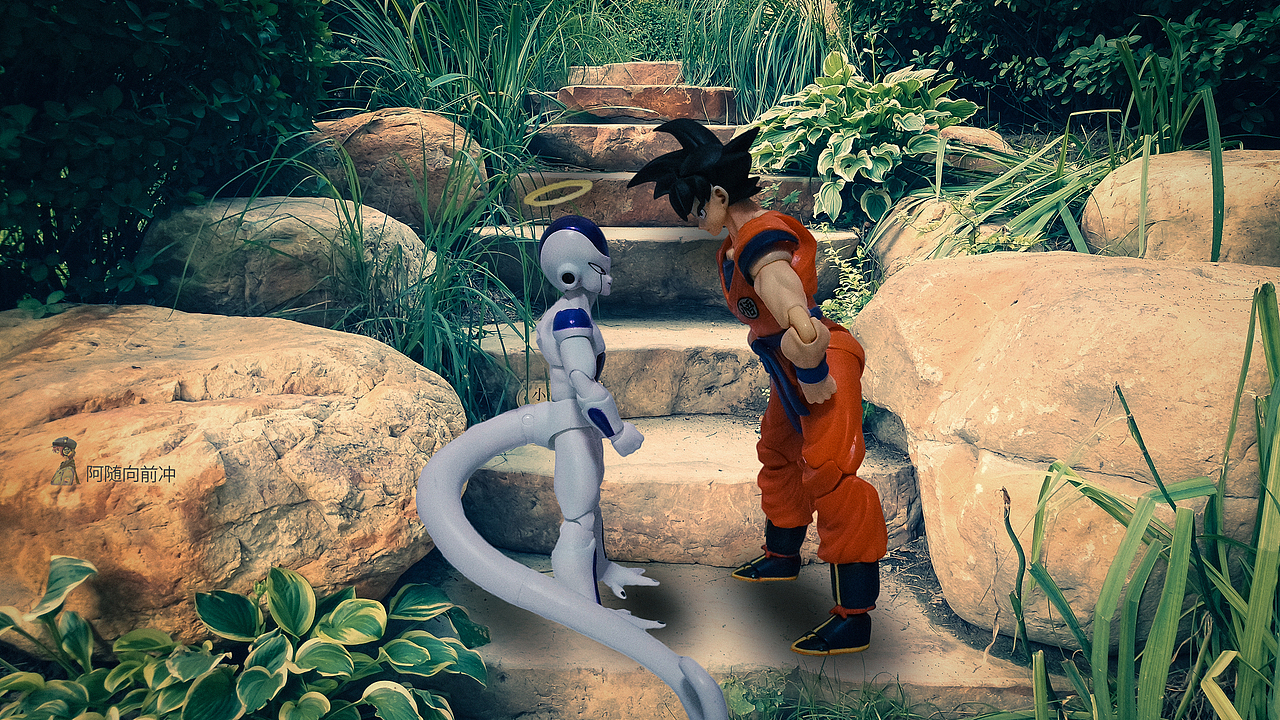 SHF悟空弗利萨手办三次元一日游，本来恩爱转眼就开打