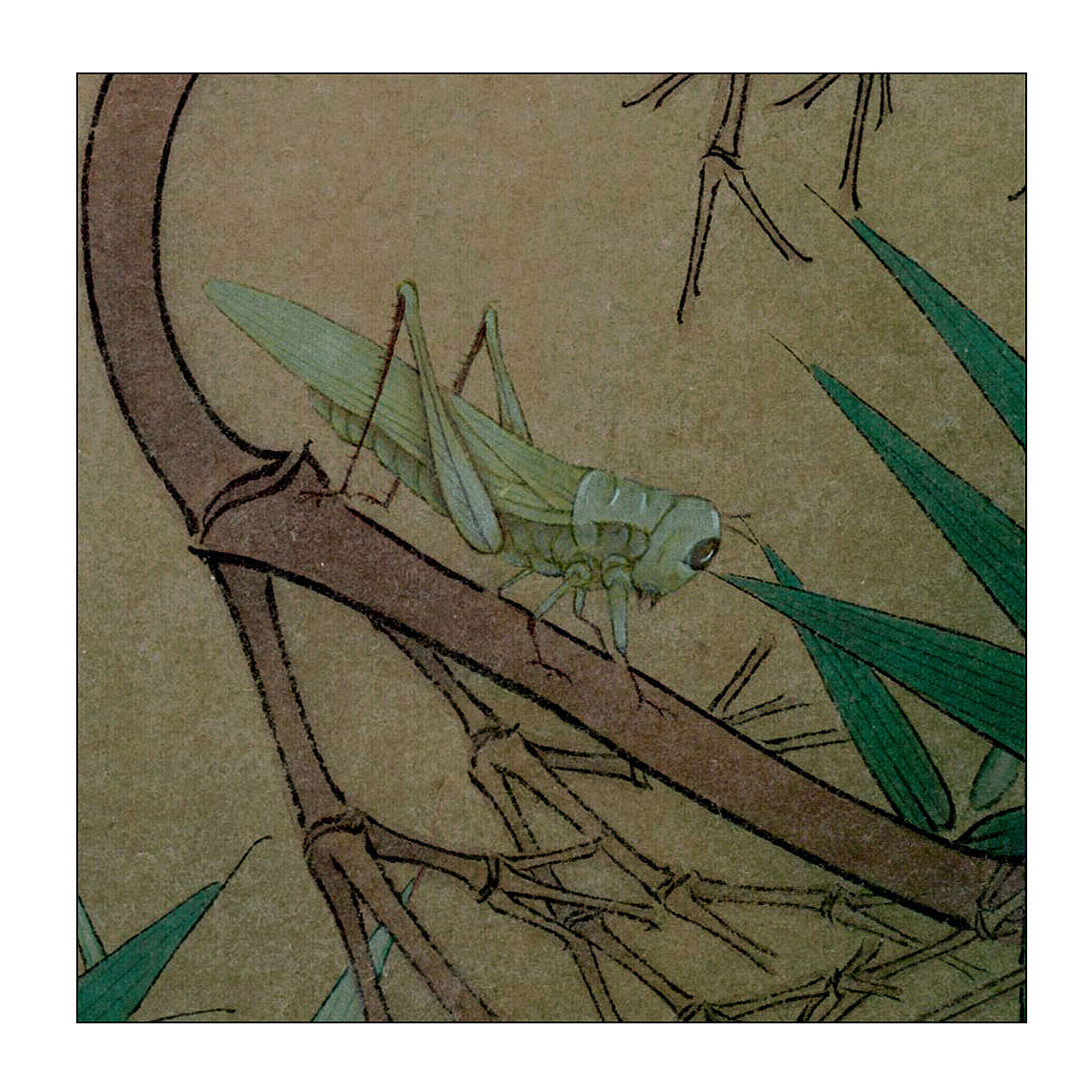 手绘-工笔-竹尖春意