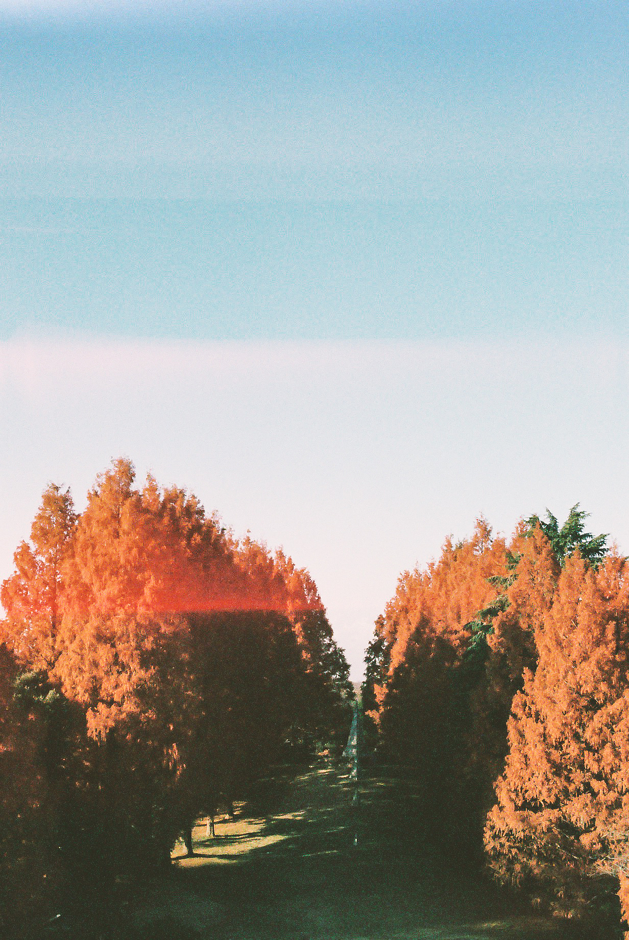 午后漫步(东京)