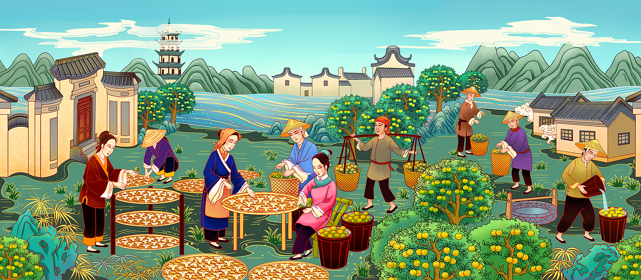 插画、陈皮加工场景