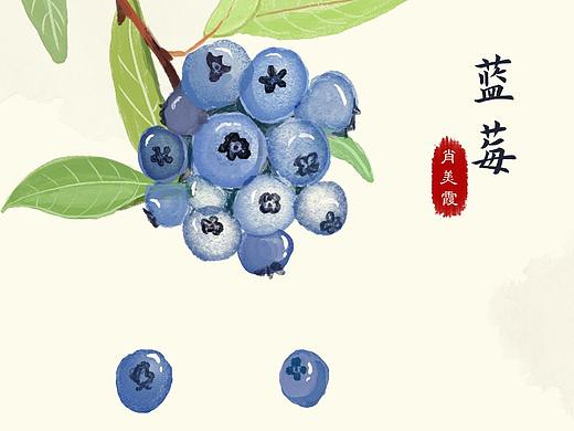 插画 蓝莓手绘（个人主页-ZNDUwMTMxMTY=） - 创作习作 - 站酷设计师烟花易冷94原创素材 - 站酷ZCOOL