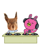 HI~我是爆乳飞（图ZMTc5MzIyNA==） - 宠物摄影 - 站酷设计师pinkmana原创素材 - 站酷ZCOOL