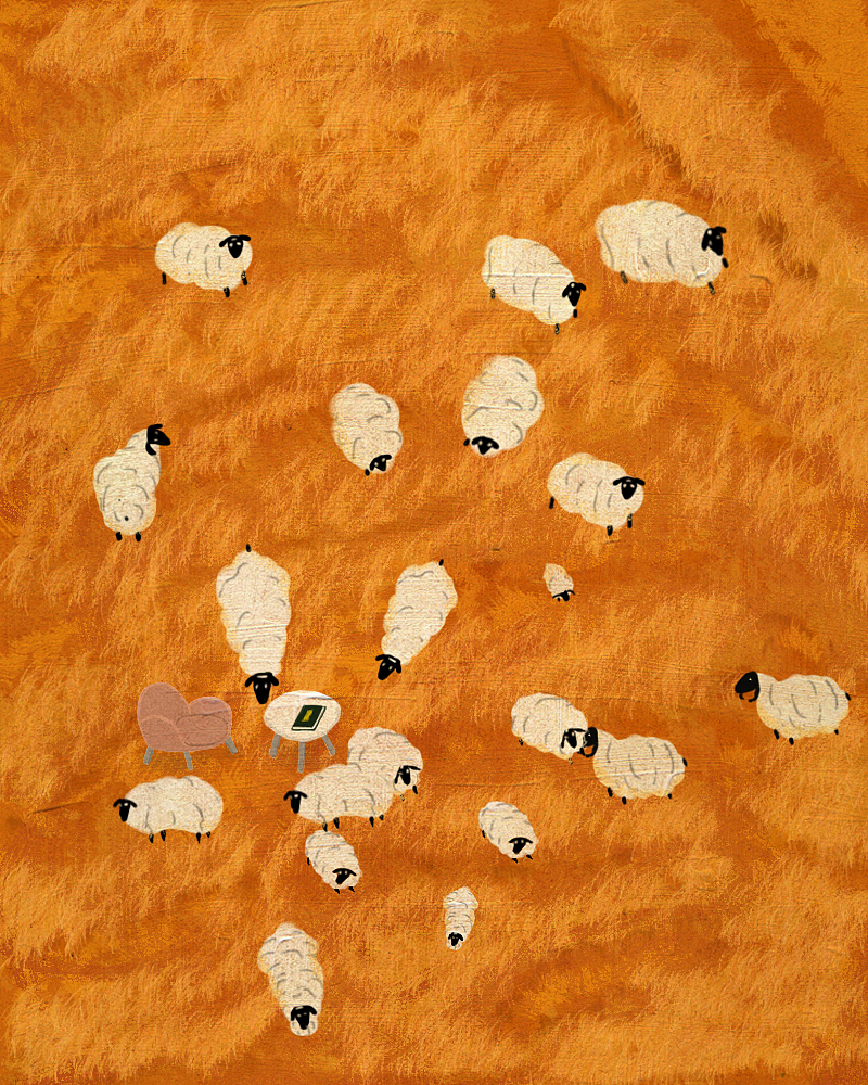 风吹草地见牛羊