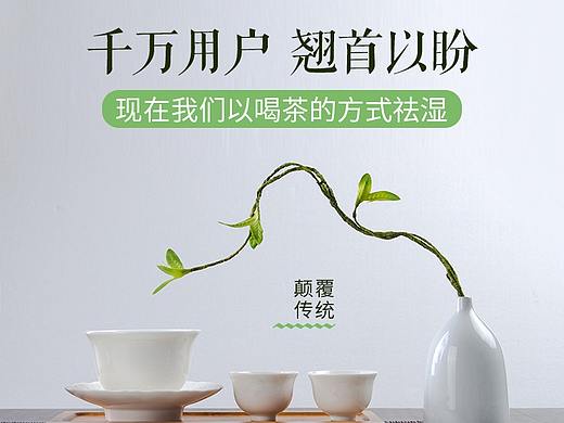 茶品详情