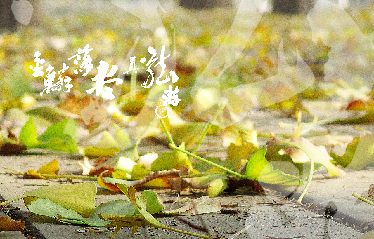 金鳞落尽真龙游 题金黄银杏叶