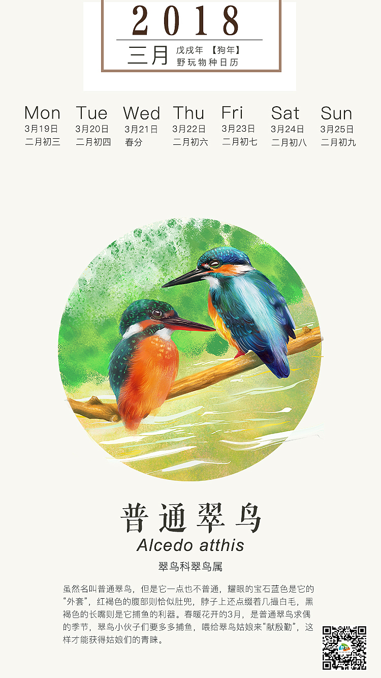 物种日历（图ZMTE3MTQ2NDIw） - 商业插画 - 站酷设计师六月猫原创素材 - 站酷ZCOOL