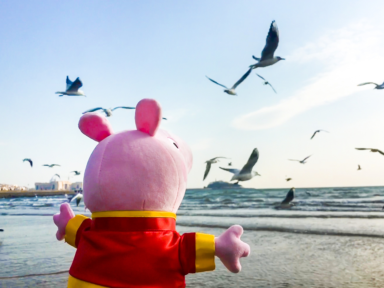 佩奇爱情故事——青岛站（图ZMTQ0MzY3NjQw） - 人文/纪实摄影 - 站酷设计师山谷子原创素材 - 站酷ZCOOL