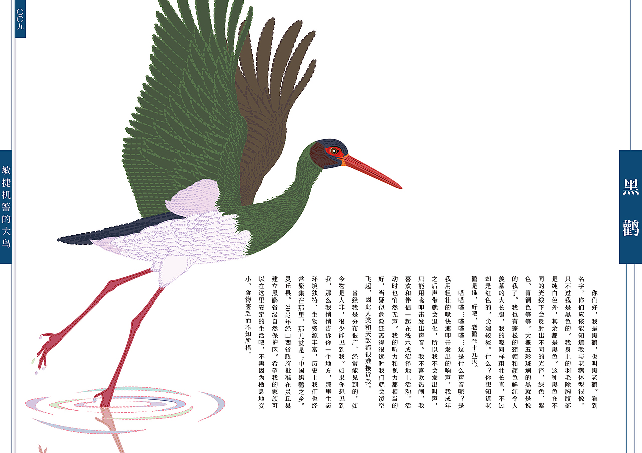 《假如我们会说话》70种中国珍贵野生动物书籍设计·一