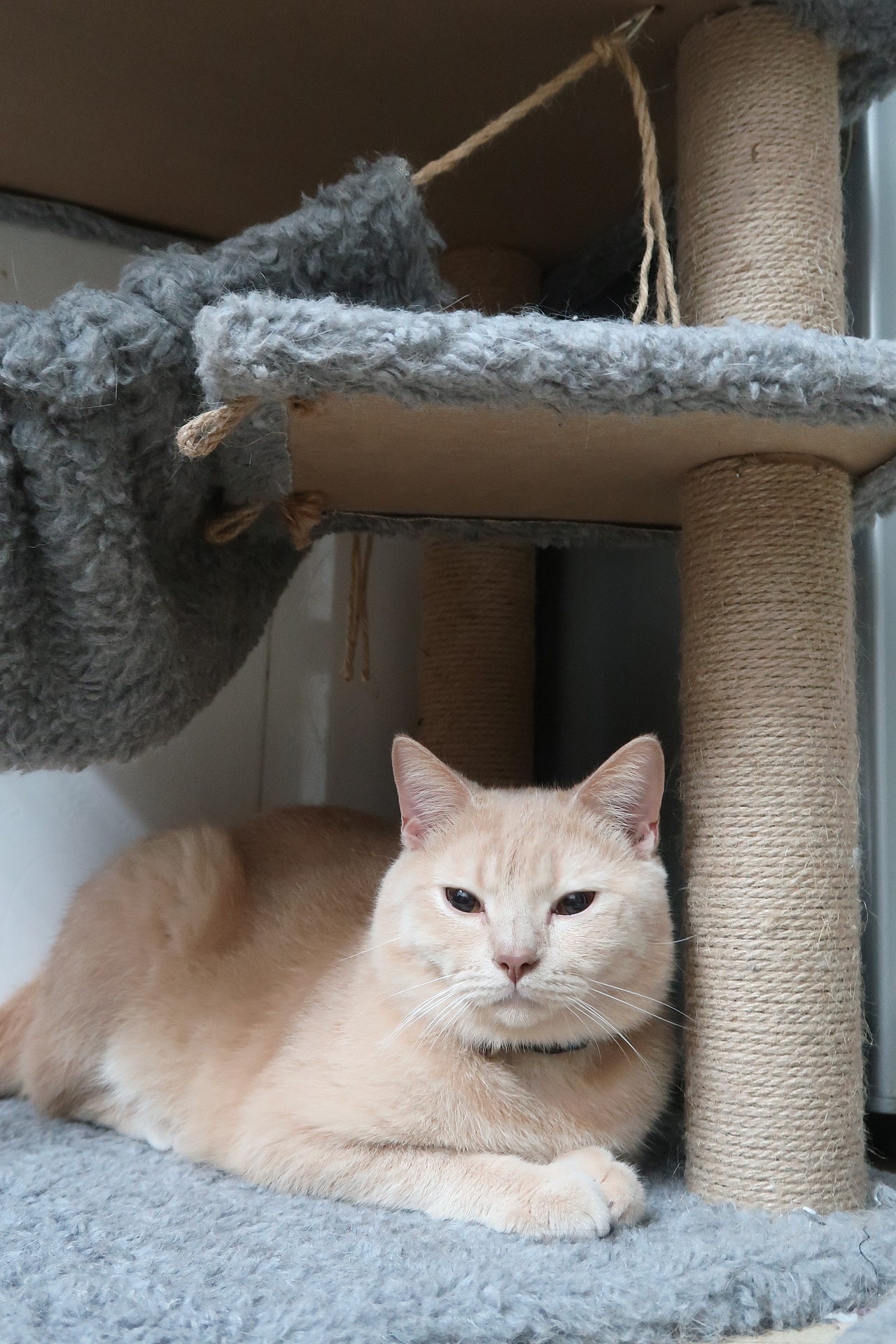 工作之余的摄影（图ZMTU3MTYzNzU2） - 风光摄影 - 站酷设计师yes田小田儿原创素材 - 站酷ZCOOL