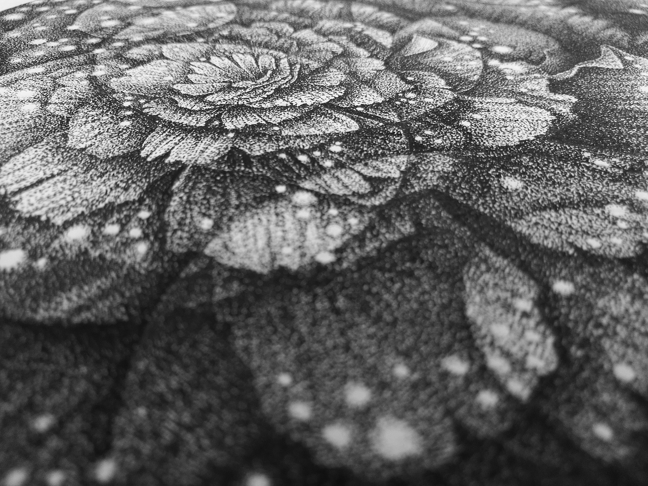 無名花（圖ZNzY3MDAwNTY=） - 創(chuàng)作習(xí)作 - 站酷設(shè)計(jì)師一盒火柴原創(chuàng)素材 - 站酷ZCOOL