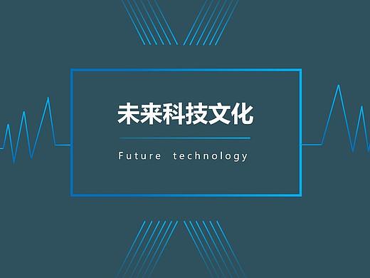公司介绍