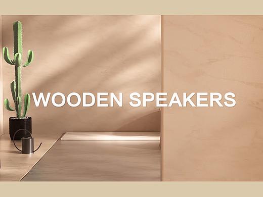 【Wooden speakers】外观视频