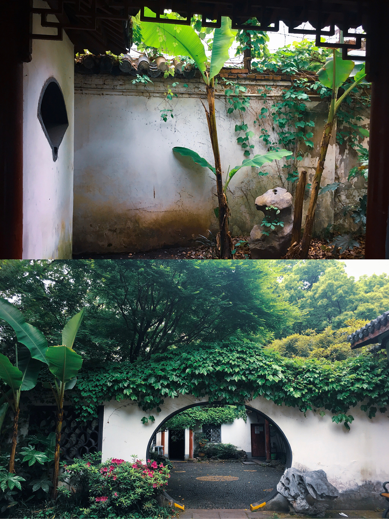 探寻上海市区内的园林公园