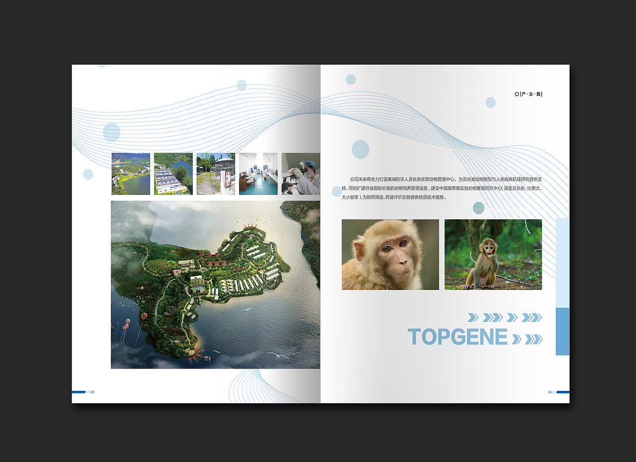 天勤生物企业宣传画册（图ZMTU5MTUxODY0） - 书籍/画册 - 站酷设计师肥糕菌原创素材 - 站酷ZCOOL