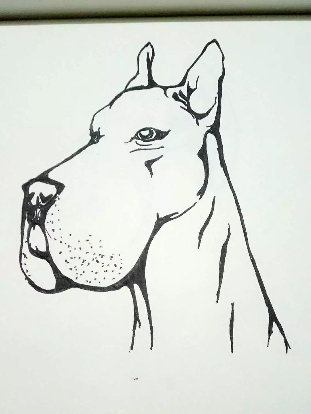 zxb手绘插画黑白水笔画