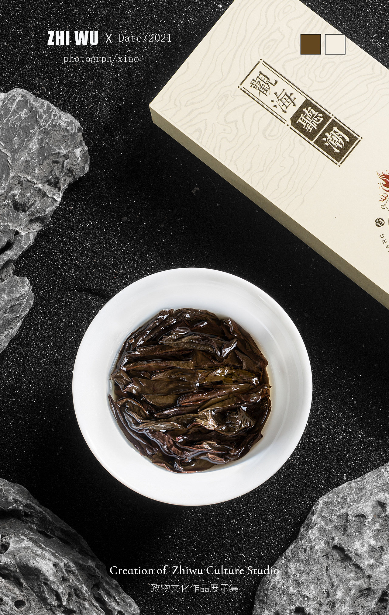 夷脉星光×致物文化(听海观潮)