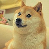 风涧的头像