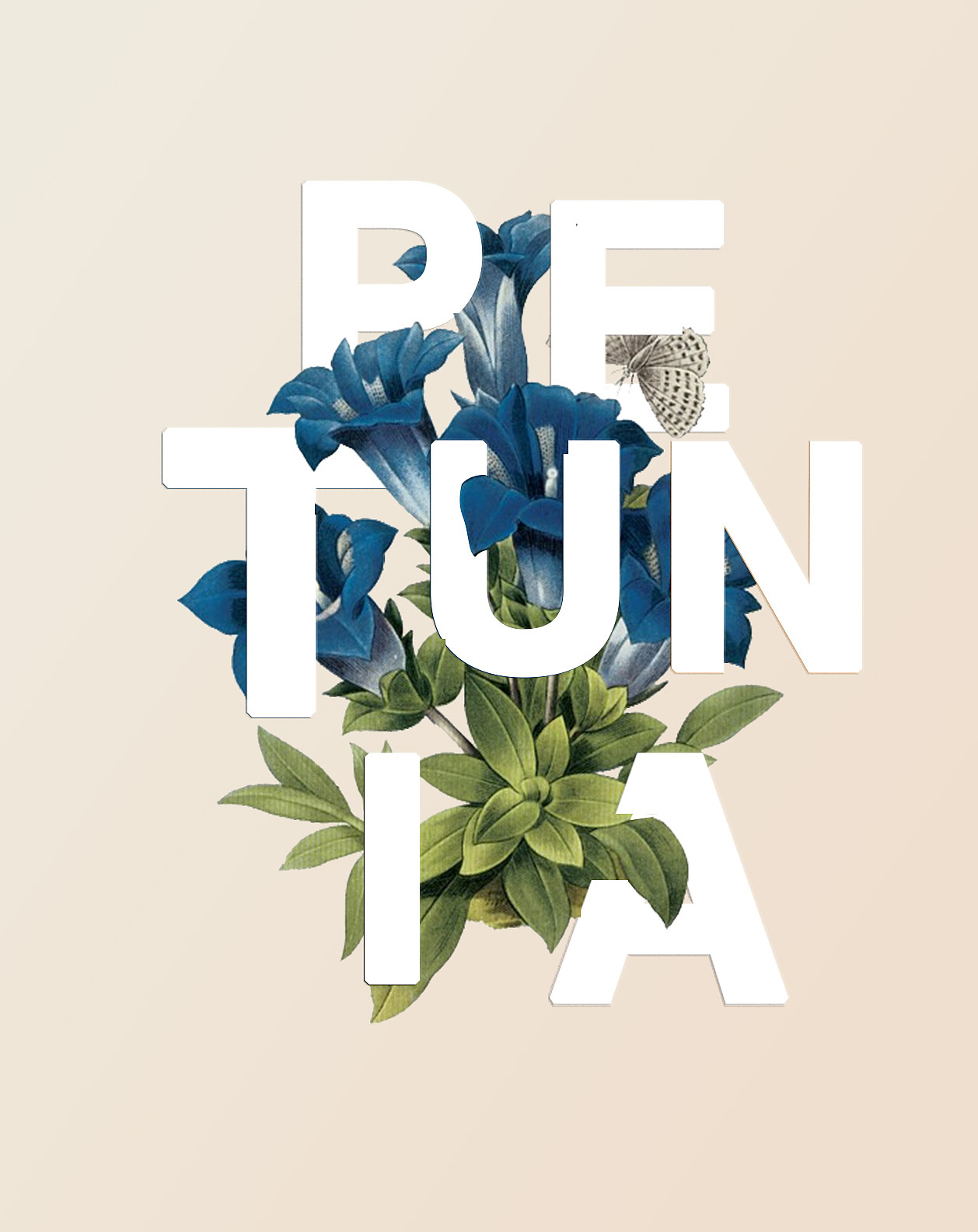 平面-一组关于花的设计