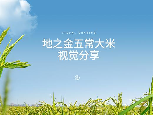 五常大米电商视觉分享