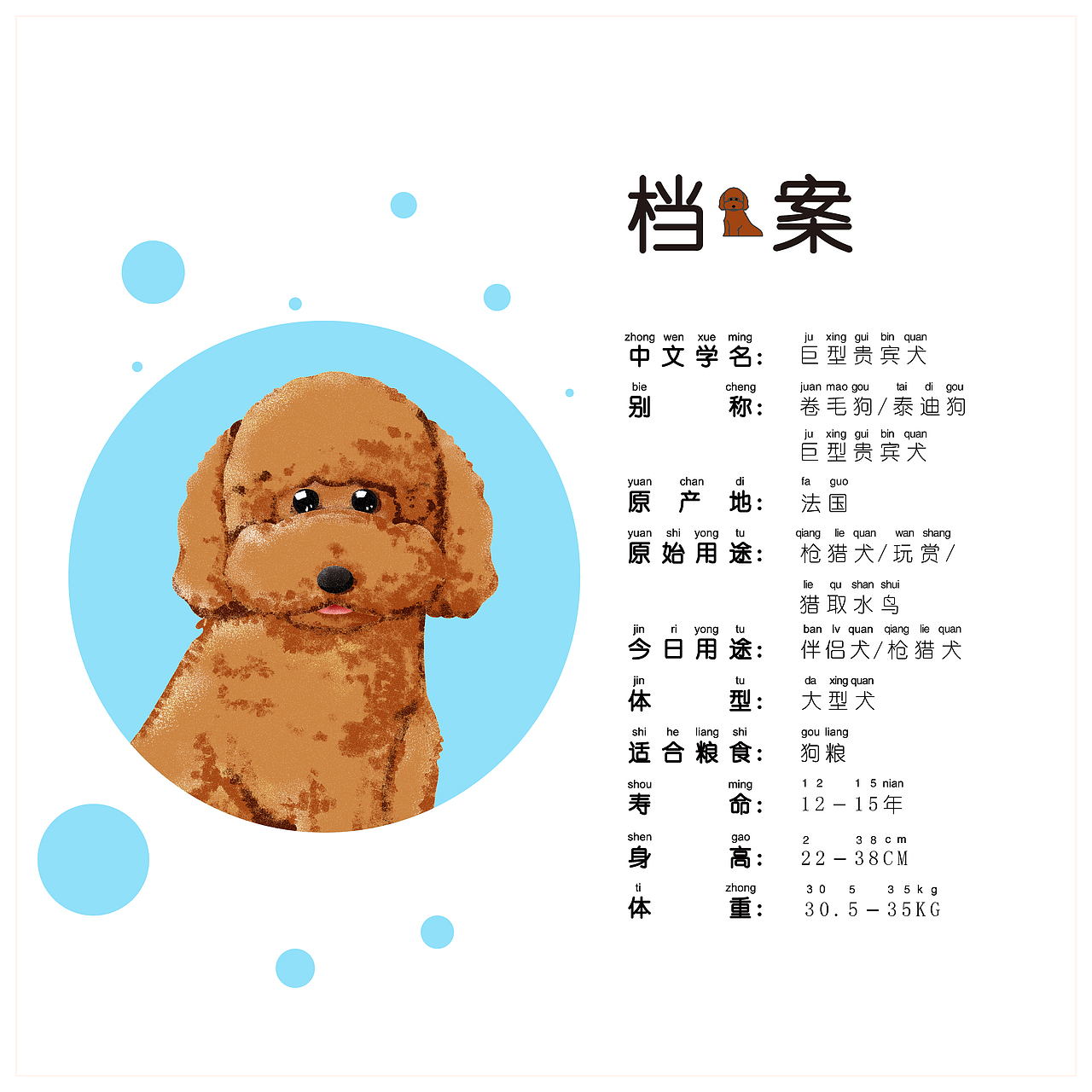 书籍装帧-《狗狗日记》(儿童狗狗科普绘本手工书)