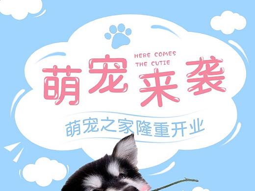 宠物海报