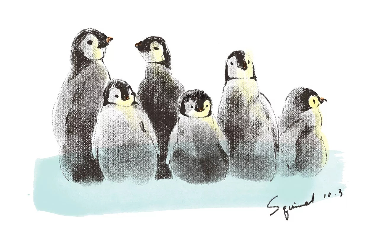 squirrel000的个人主页（封面预览） - 主页封面设置 - 站酷设计师squirrel000原创素材 - 站酷ZCOOL