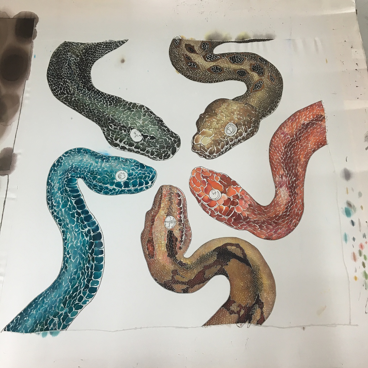 真丝手绘蛇（图ZMTIzNjA4NjA0） - 创作习作 - 站酷设计师换学别跑原创素材 - 站酷ZCOOL