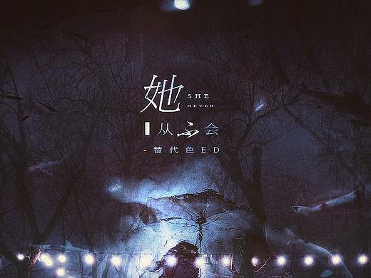 《她从不会》歌曲海报